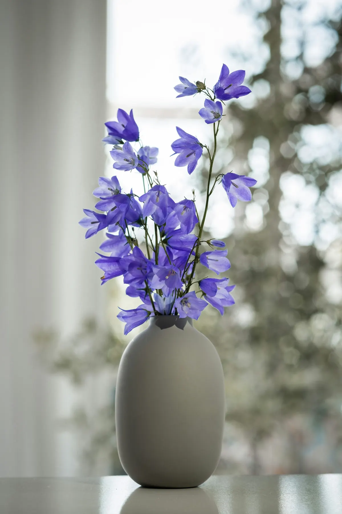 Blumen in einer Vase