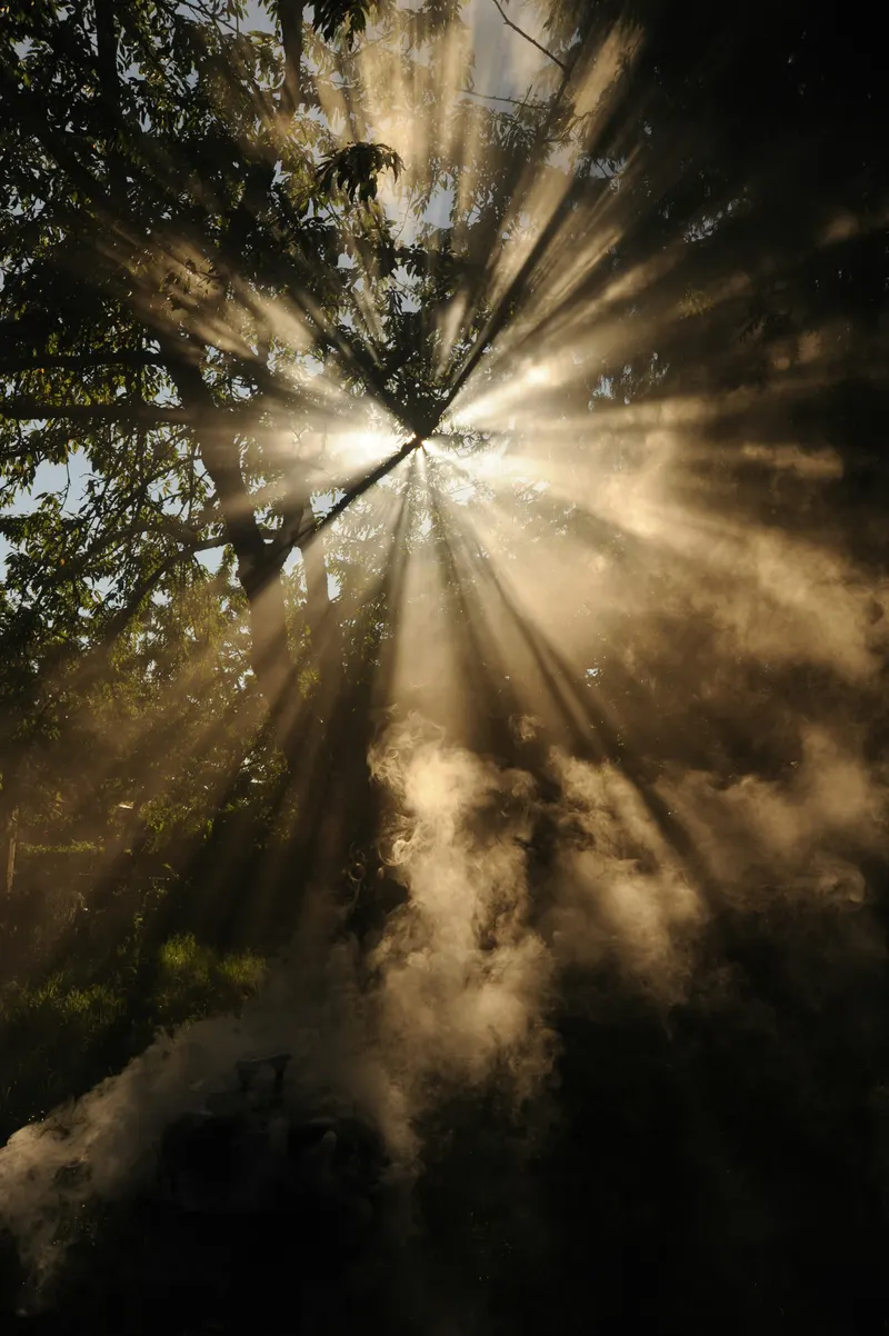 Sonnenstrahlen durch Bäume